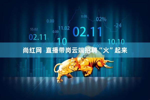 尚红网  直播带岗云端招聘“火”起来