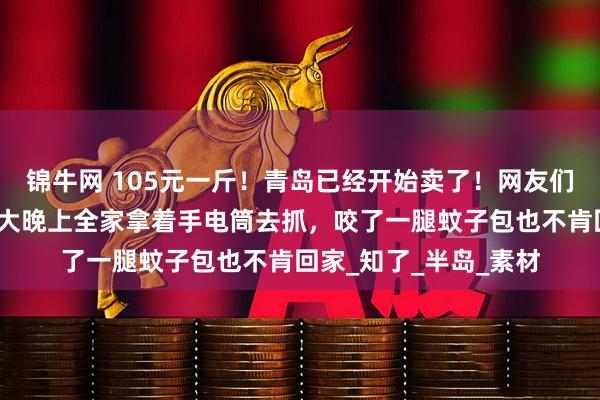 锦牛网 105元一斤！青岛已经开始卖了！网友们又馋又舍不得花钱，大晚上全家拿着手电筒去抓，咬了一腿蚊子包也不肯回家_知了_半岛_素材