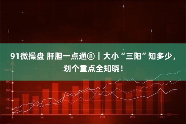 91微操盘 肝胆一点通⑧｜大小“三阳”知多少，划个重点全知晓！